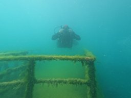 immersioni-estate22 35